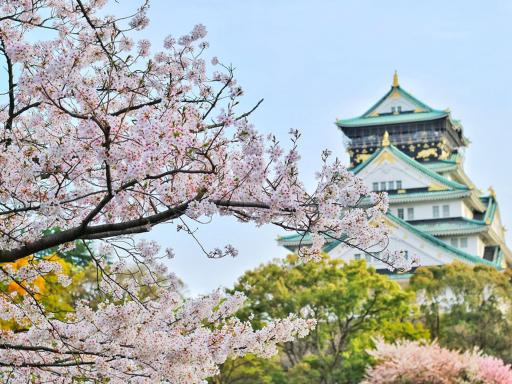 Primavera en Japón: Temporada de Hanami