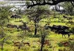 Viaje a Tanzania: circuito en grupo por los mejores parques