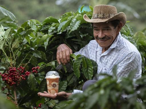 Esencias de Colombia: viaje en grupo (septiembre 2025)