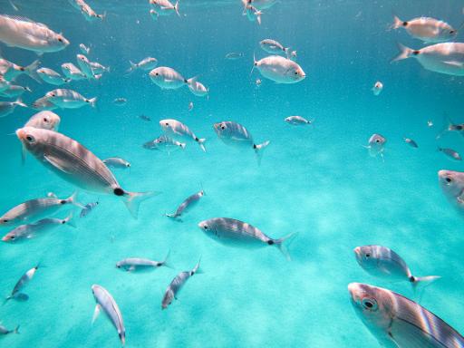 Circuito por Cerdeña en grupo: Descubre la Costa Esmeralda