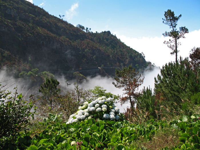 Maravillas de Madeira y Porto Santo