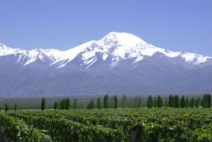 Argentina: Tangos, cataratas y viñedos