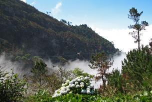 Puente de diciembre en Madeira