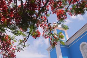 Cabo Verde: Isla de Sal desde Madrid o Barcelona en Hotel Belorizonte "Todo Incluido"