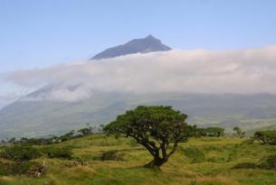 Estancia en Sao Miguel (salidas desde Madrid)