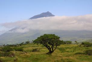 Azores: Isla de Terceira 8 noches desde Bilbao