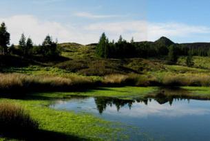 Azores: isla de Sao Miguel especial familias (niños hasta 11 años gratis)