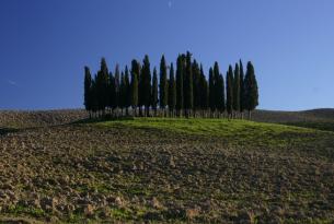 Semana Santa en la Toscana en familia y a tu aire en coche de alquiler