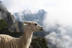 Perú: Valle Sagrado y Machu Picchu en fin de año