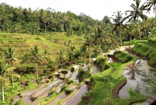 Súper oferta: Singapur y Bali