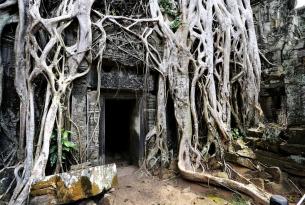 Vietnam minorías del norte, Halong, Delta y Templos de Angkor