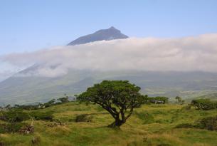 Terceira, Faial y Pico: combinado ganador en las Azores