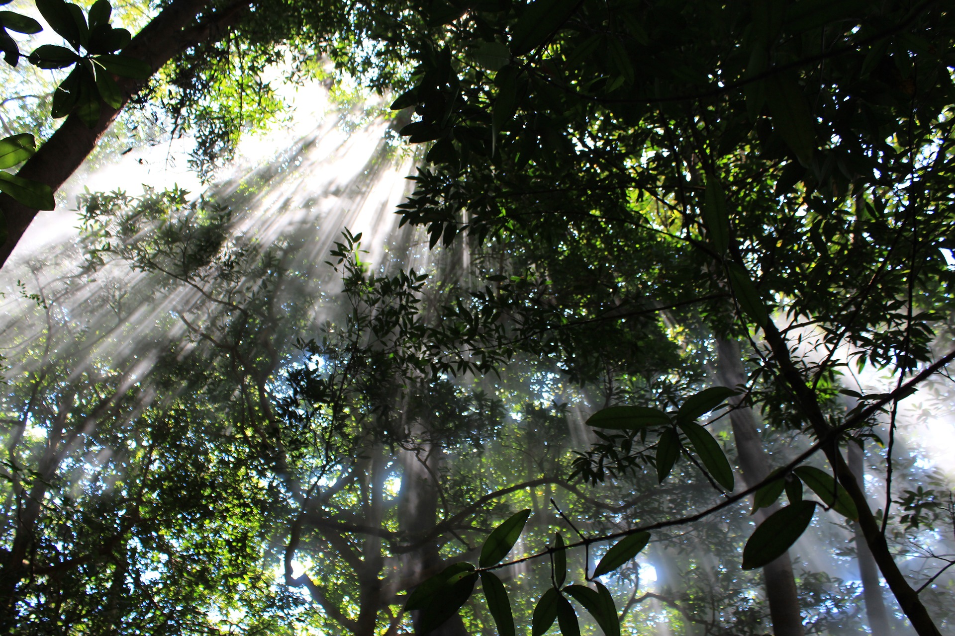Los mejores parques naturales de Costa Rica en grupo