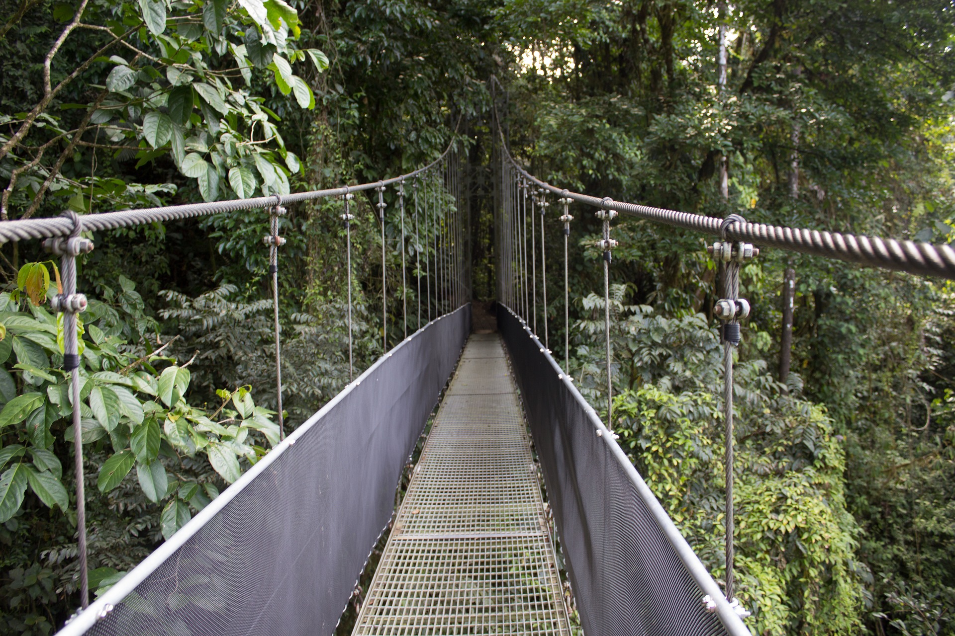 Los mejores parques naturales de Costa Rica en grupo