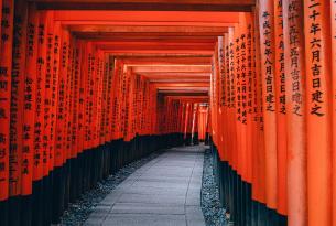 Japón, sus festivales y tradiciones en grupo (Awa dori, Tanabata y Obon)