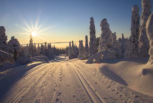 Puente de diciembre en Laponia (5 días)