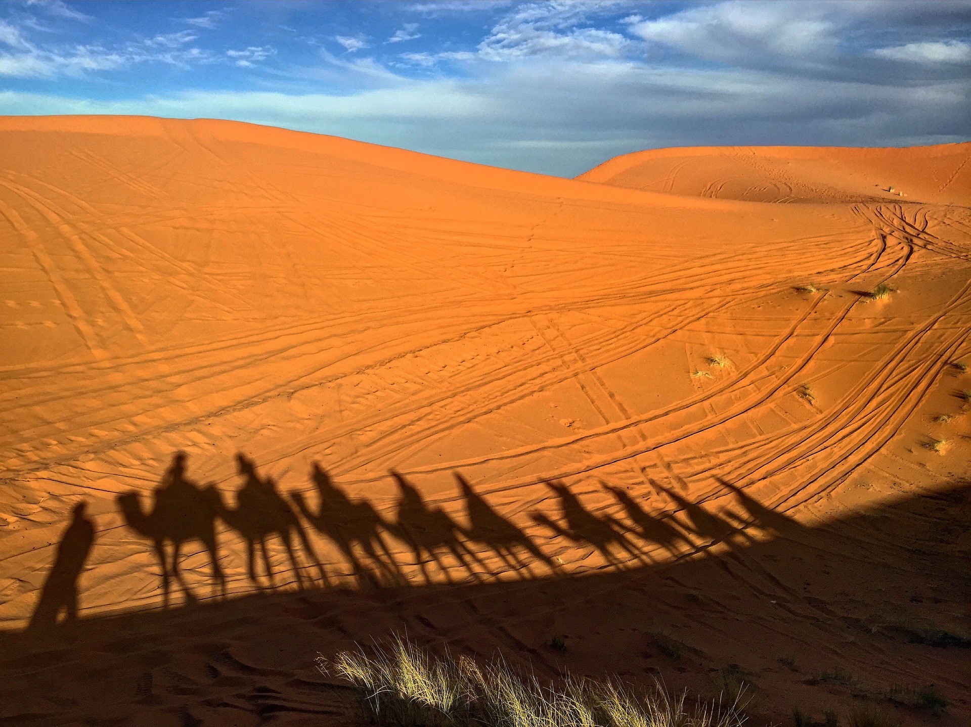 Fin de año en Marruecos con cena espectáculo y visita a los Reyes Magos (salida desde Madrid)