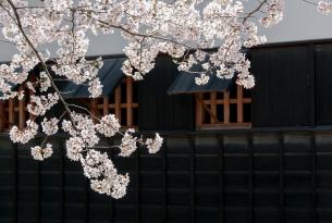 Semana Santa en Tokio y Kioto a tu aire