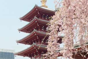 Semana Santa en Japón: Tokio, Kioto, Hiroshima y Osaka a tu aire (14 días)