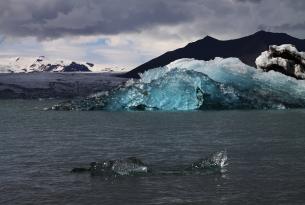 Maravillas de Islandia entre glaciares, playa negra y  cascadas (8 días)