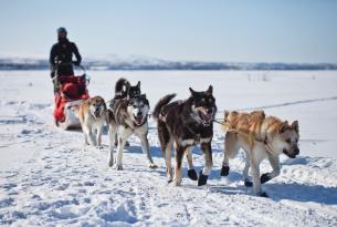 Fin de año: Aventura ártica en Rovaniemi