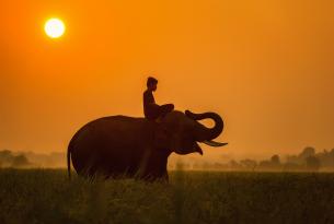 Naturaleza y el nacimiento del ñu en Tanzania