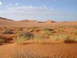 Gran Ruta Por El Desierto