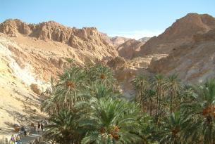 Túnez en Familia: "Exploradores por el Sahara"