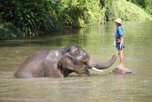 Tailandia en Familia: "Bienvenidos a lo más exótico y cultural"