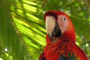 Costa Rica: Naturaleza, aventura y… ¡pura vida!