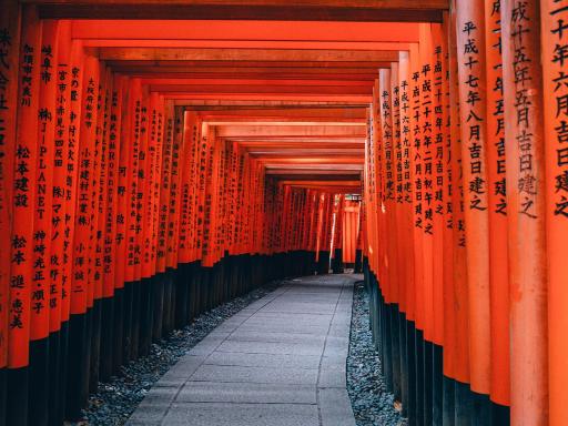 Japón, sus festivales y tradiciones en grupo (Awa dori, Tanabata y Obon)