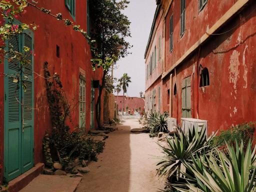 Fin de Año en Senegal