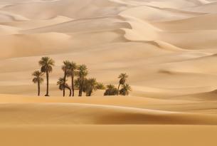 Argelia: ¡Desierto del Sáhara, tuaregs, acampada y pinturas rupestres!