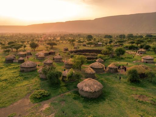 Safari en Tanzania: en busca de los 5 grandes