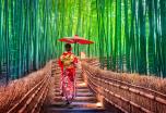 Agosto en Japón: Tradiciones, artes, cultura y modernidad de Japón