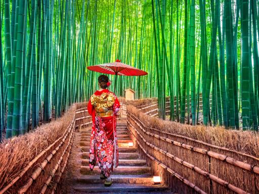 Agosto en Japón: Tradiciones, artes, cultura y modernidad de Japón