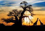 Sudáfrica: el África diferente