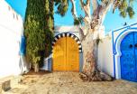 Túnez: Huellas Bereberes, Oasis e Historia