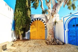 Túnez: Huellas Bereberes, Oasis e Historia