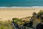 Vacaciones para singles: Playas de Huelva, Sierra de Aracena y Doñana