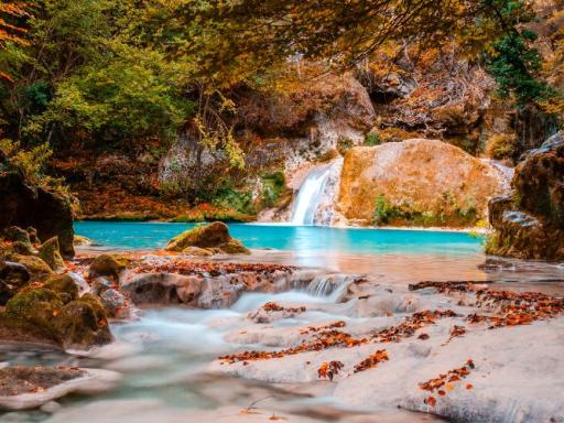 La magia del Otoño en Selva de Irati y Nacedero del Urederra