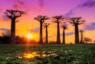 Madagascar: Fauna, parques y playas del sur (Agosto 2025)