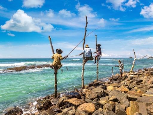 Circuito por Sri Lanka: Fin de año en la Perla del Índico
