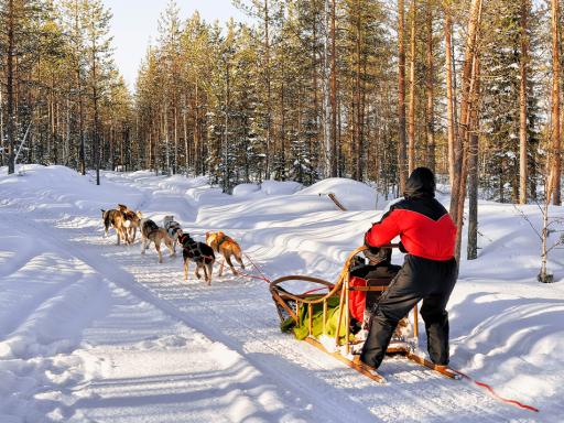Viaje a la Laponia Noruega: En busca de la Aurora Boreal