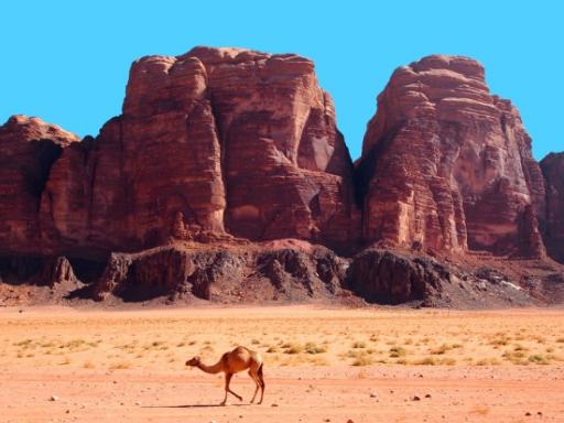 Circuito por Jordania ¡Especial Semana Santa!: Petra, Wadi Rum y Mar Muerto