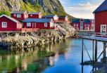 Viaje en grupo a las Islas Lofoten y Crucero Hurtigruten por el Ártico Noruego (Verano)