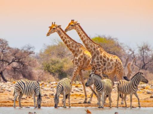 Circuito por Namibia: Silencio, inmensidad y naturaleza infinita (Septiembre)