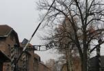 Circuito por Cracovia: Historia, cultura y memoria (Puente de diciembre)