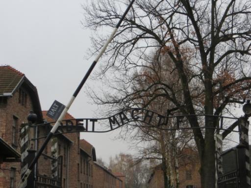Circuito por Cracovia: Historia, cultura y memoria (Puente de diciembre)