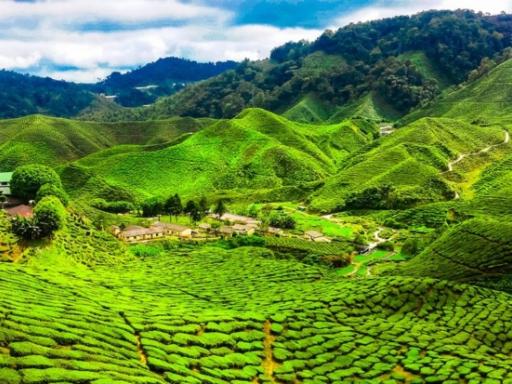 Circuito por Malasia: Malaca, Kuala Lumpur, Cameron Highlands, Penang e Isla de Langkawi (Fin de Año)